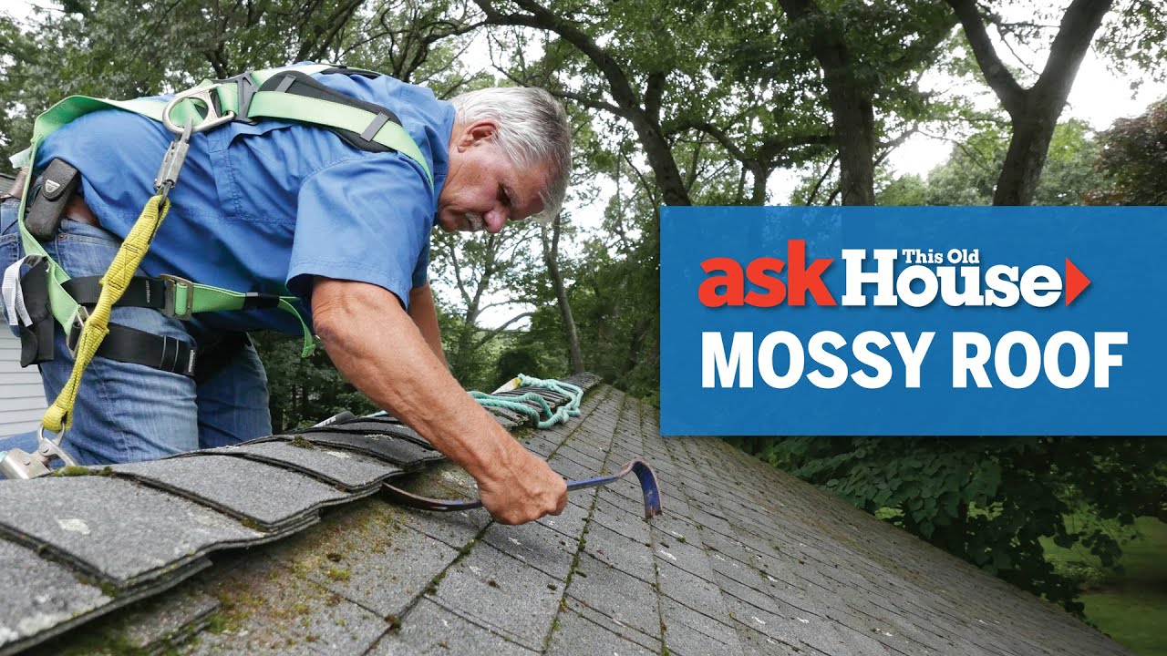 Moss Removal — Prestige Roofing project 2