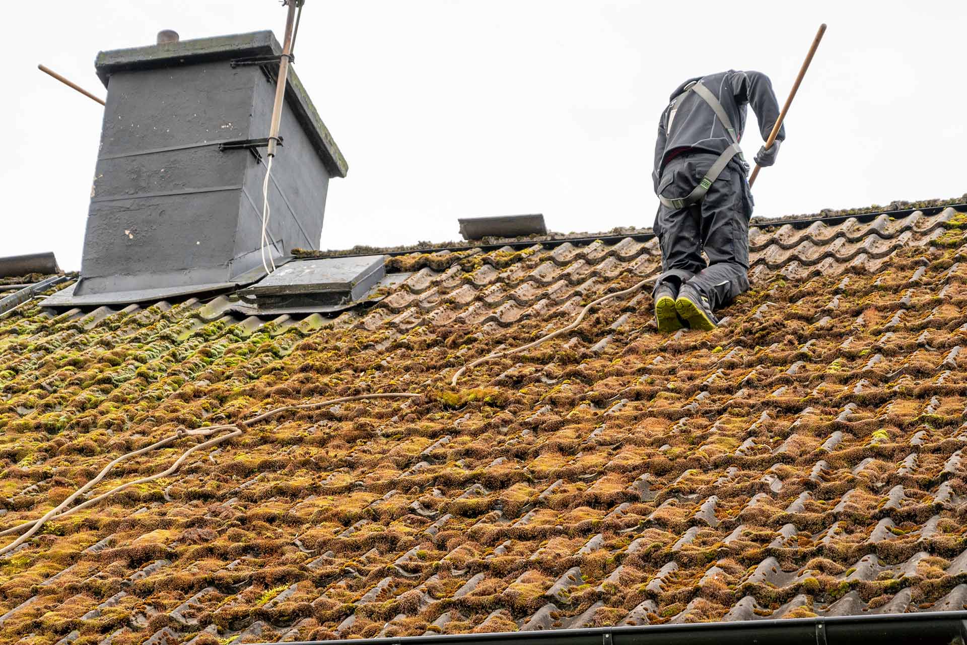 Roof Moss Removal